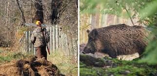 VALLO DELLA LUCANIA (SALERNO), SCAMBIA CACCIATORE PER CINGHIALE E SPARA: MUORE 70ENNE